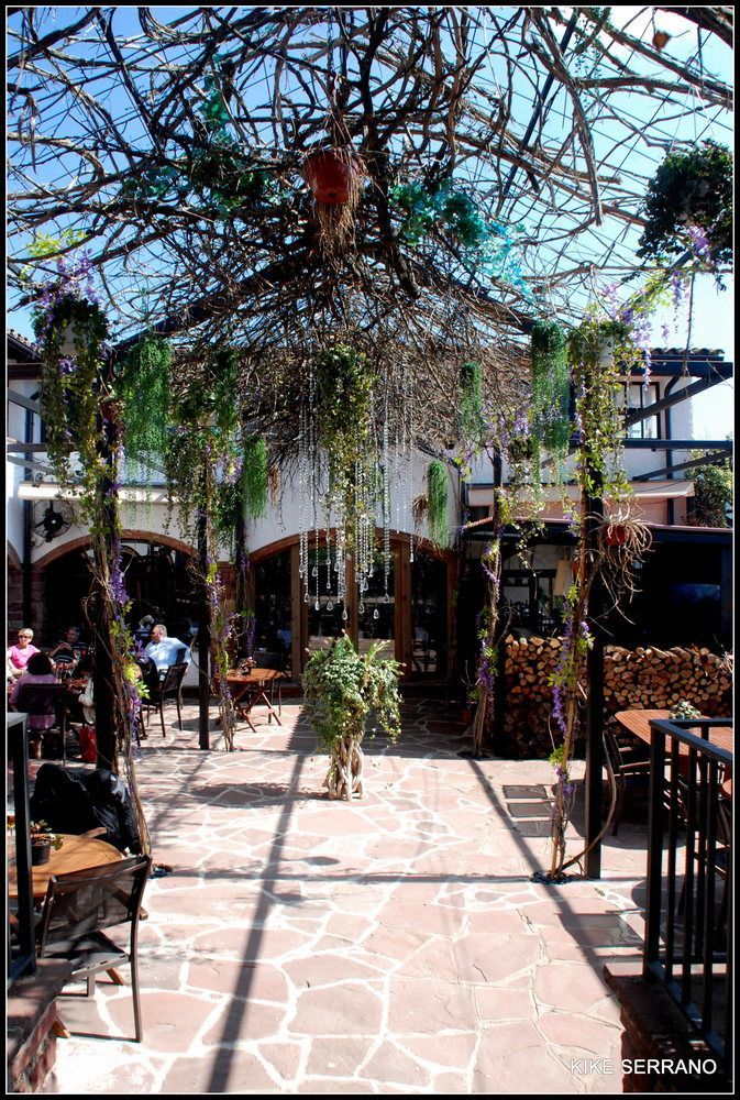 Hostal La Guineu Viladrau Ngoại thất bức ảnh